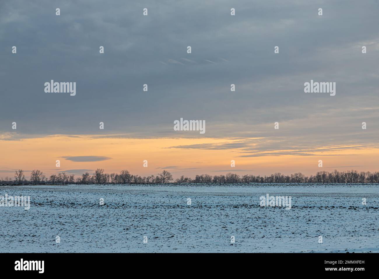 Tramonto naturale alba su campo o prato. Il colore del cielo sul terreno innevato d'inverno. Paesaggio sotto un cielo pittoresco al tramonto. Alba di t Foto Stock