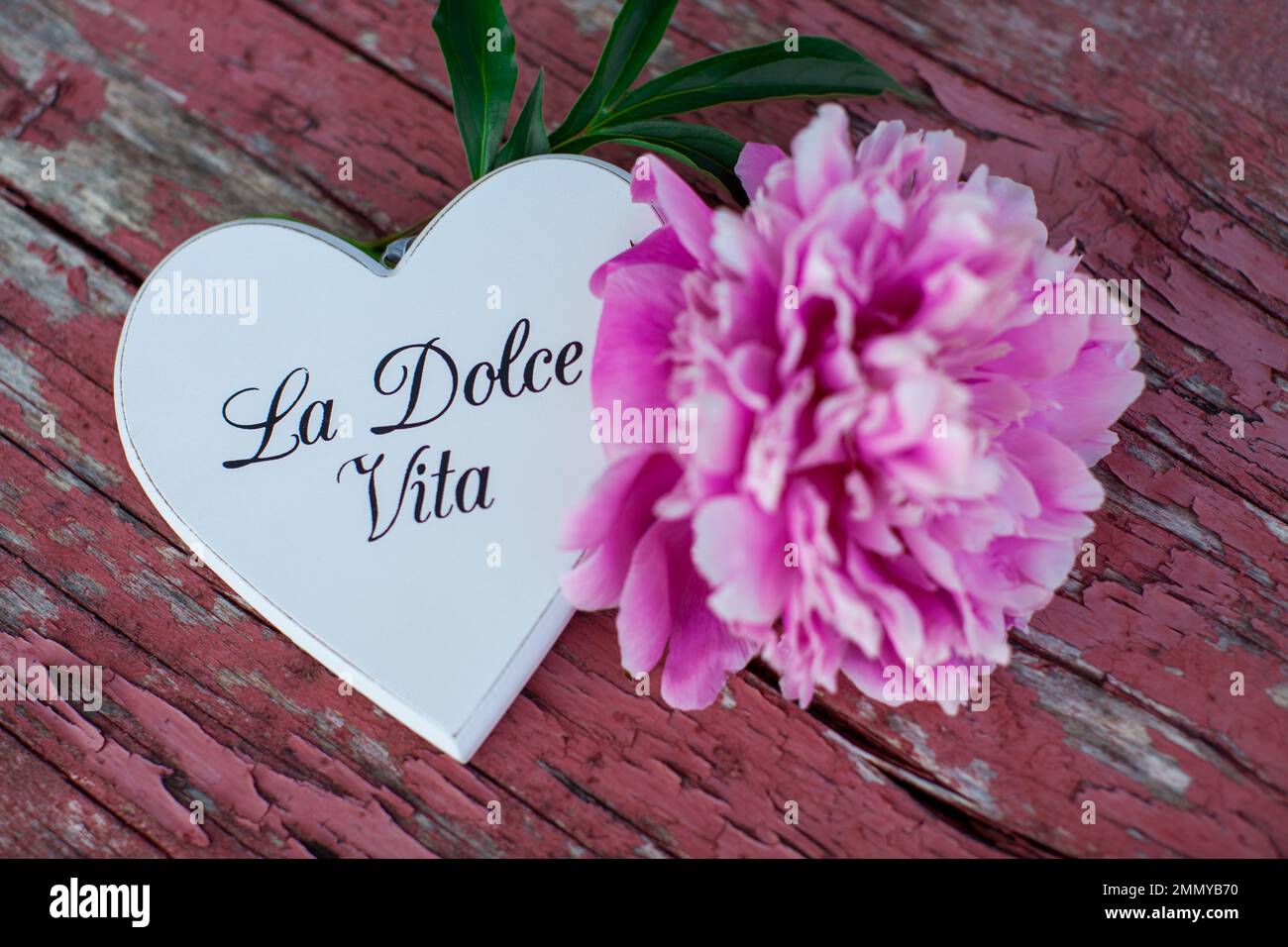 Peonia rosa a forma di cuore su vecchio sfondo di legno Foto Stock