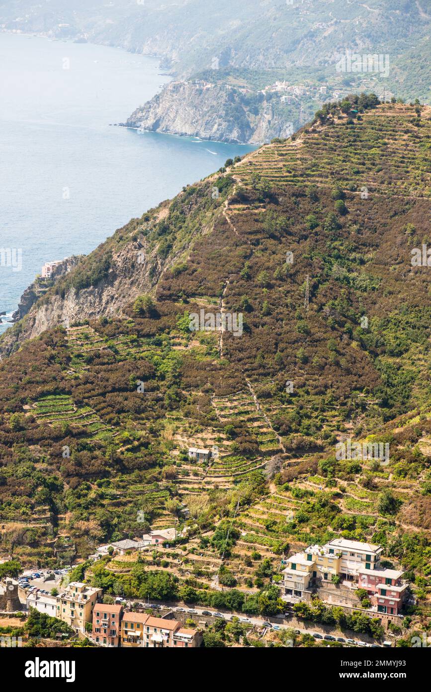 Manarola, Cinque Terre, Italia Foto Stock