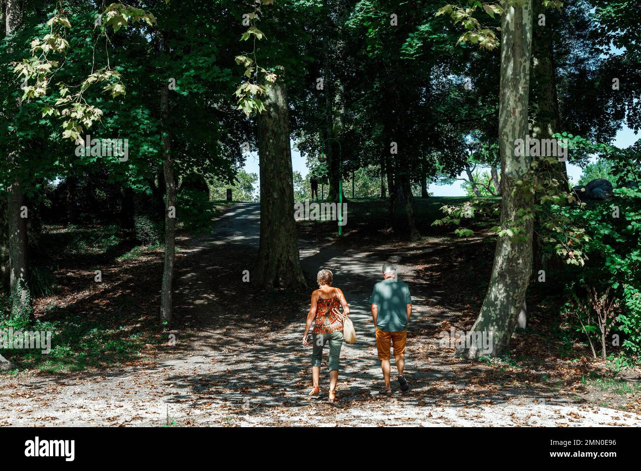 Francia, Tarn, Castres, parco Gourjade, scena di vita nel parco in estate Foto Stock