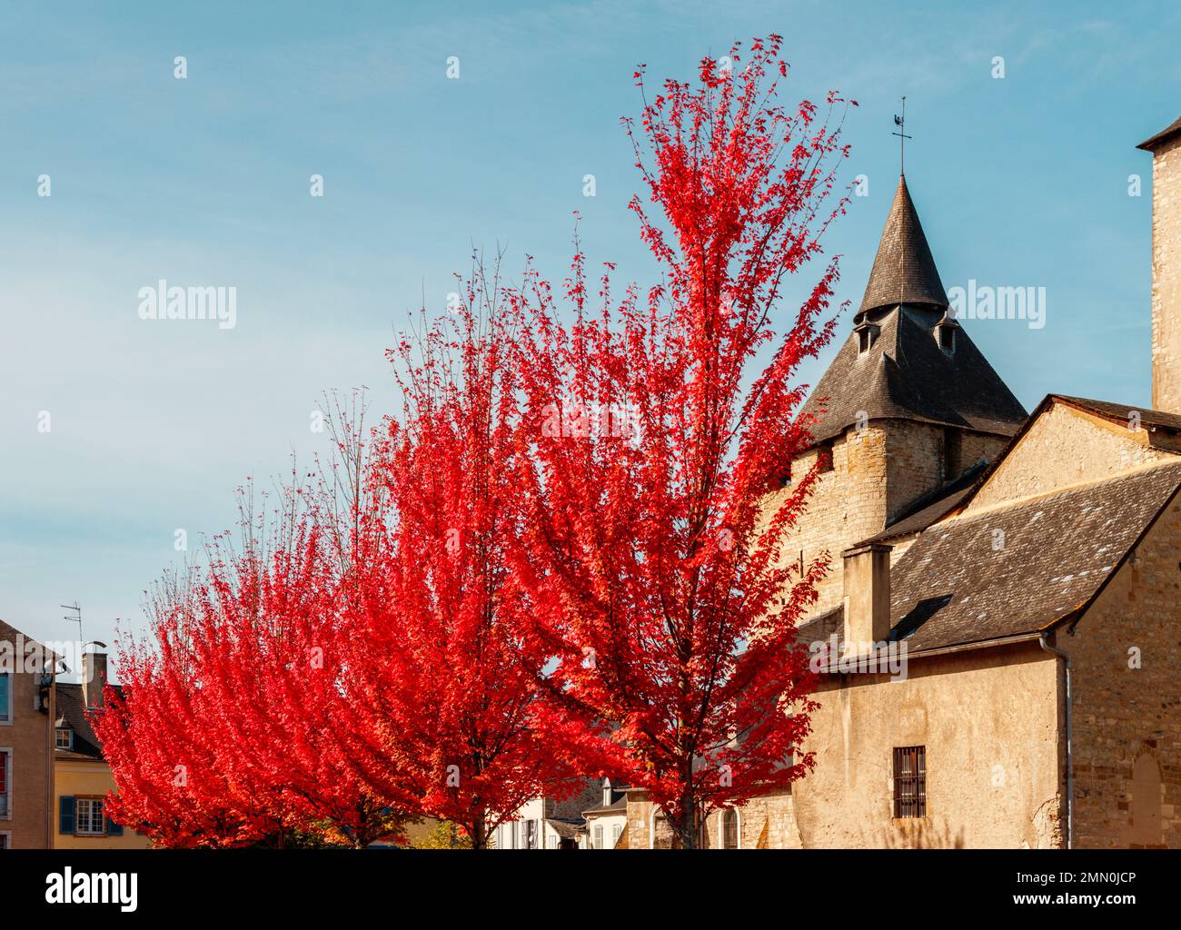 Francia, Pirenei Atlantici, Bearn, Oloron Sainte Marie, Cattedrale di Sainte Marie, vista della cattedrale in autunno con alberi con foglie rosse in primo piano Foto Stock