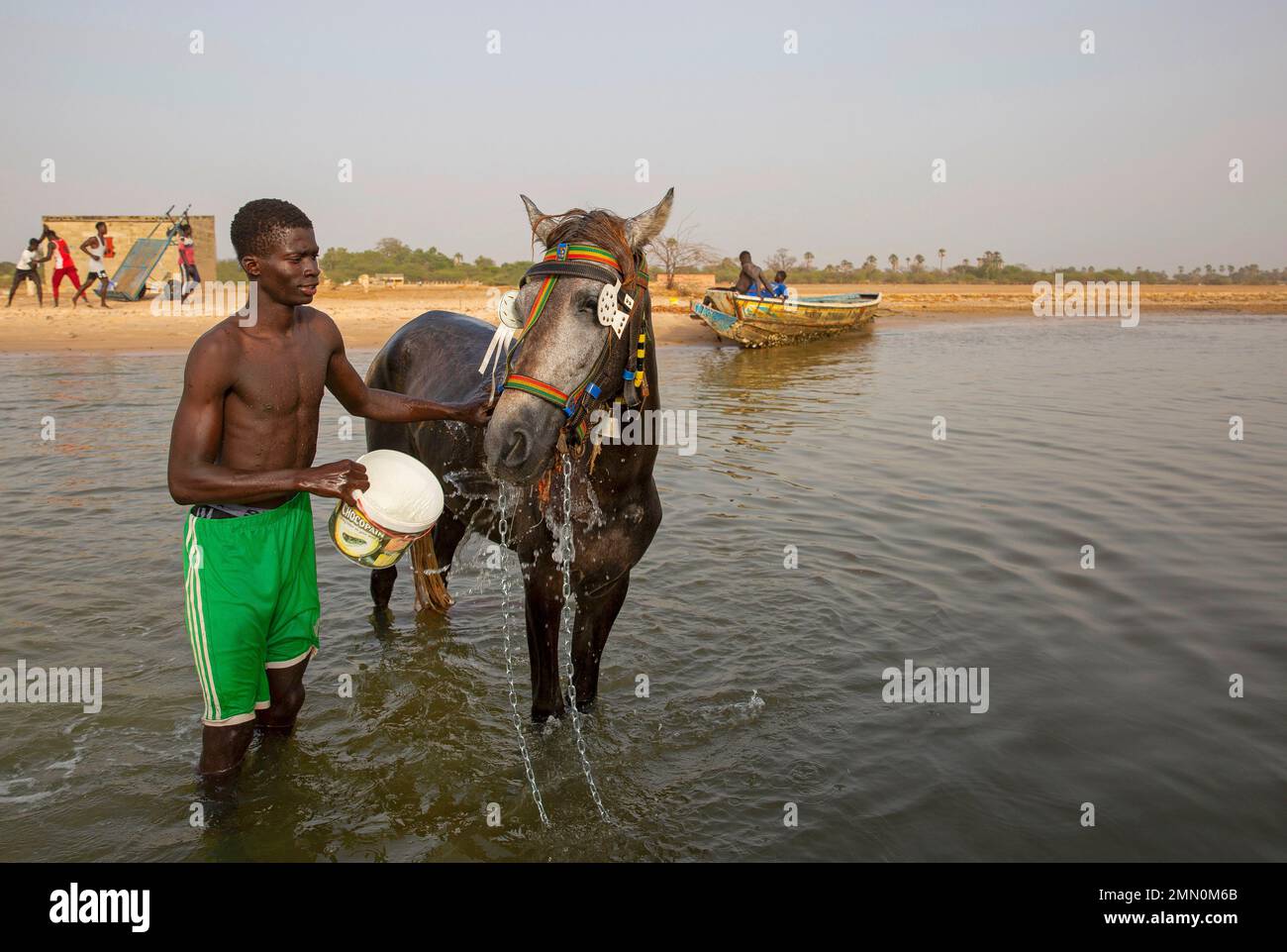 Senegal, il delta di Saloum dichiarato patrimonio mondiale dall'UNESCO, giovane uomo che lava il suo cavallo con acqua di fiume di fronte ai giovani in canoa e formazione per il wrestling senegalese sulla spiaggia dell'isola di Mar Lodj Foto Stock