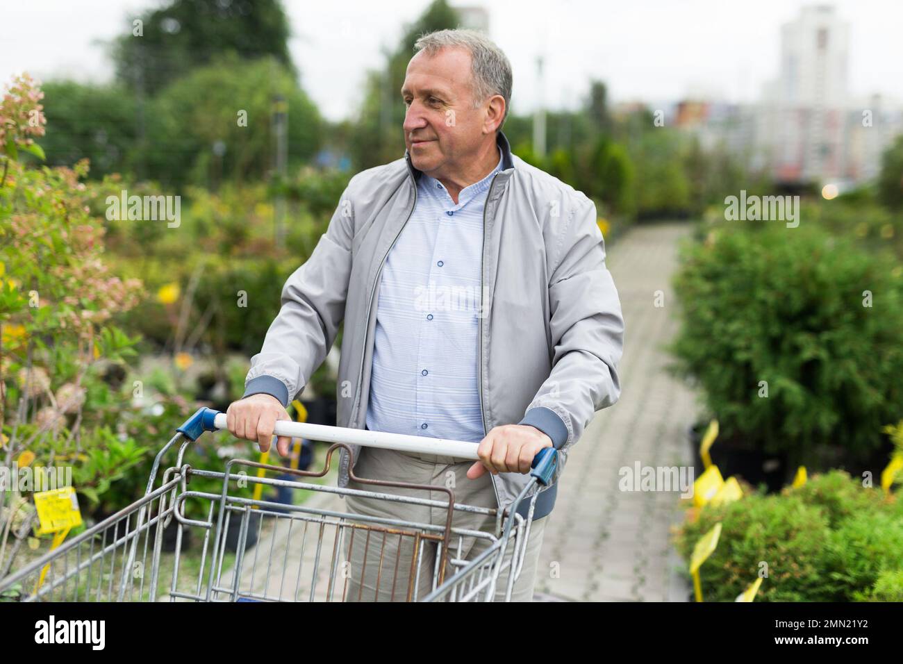 Uomo che sceglie giovani pianta nel mercato Foto Stock