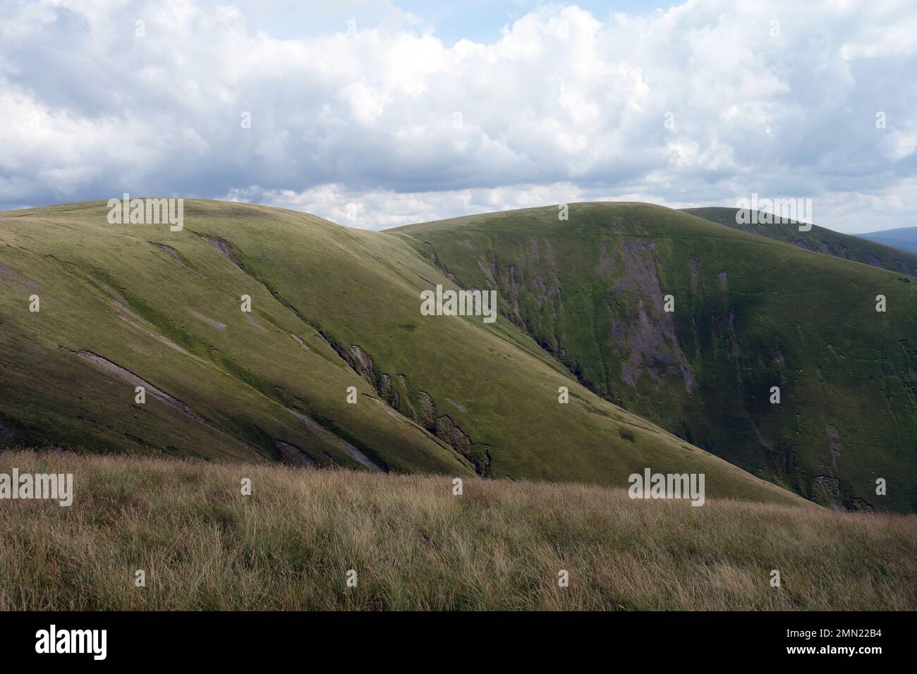 The Calf, Bram Rigg Top & Calders from White Fell Head sulle Howgilll Hills nel Yorkshire Dales National Park, Inghilterra, Regno Unito. Foto Stock