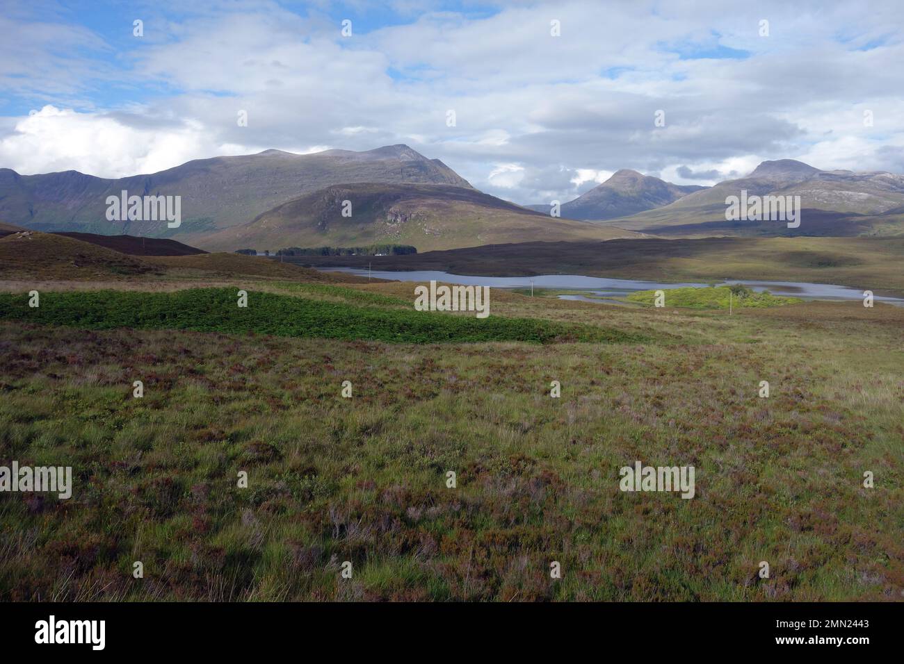 Il Monte Corbett Beinn Damh, il Munro Maol Chean Dearg e il Corbett An Ruadh Stac da Loch Damh sulla strada A896 nelle Highlands scozzesi. Foto Stock