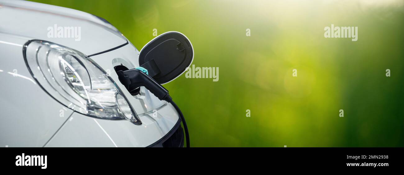 Primo piano dell'ingresso dell'auto elettrica con un cavo di ricarica collegato su sfondo verde Foto Stock