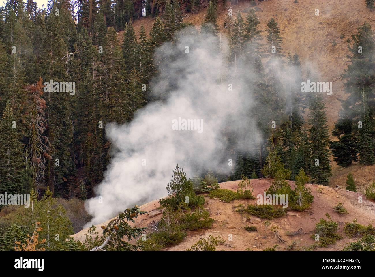 Sfiati a vapore fumaroles nell'area Sulphur Works del Lassen Volcanic National Park, California, USA Foto Stock