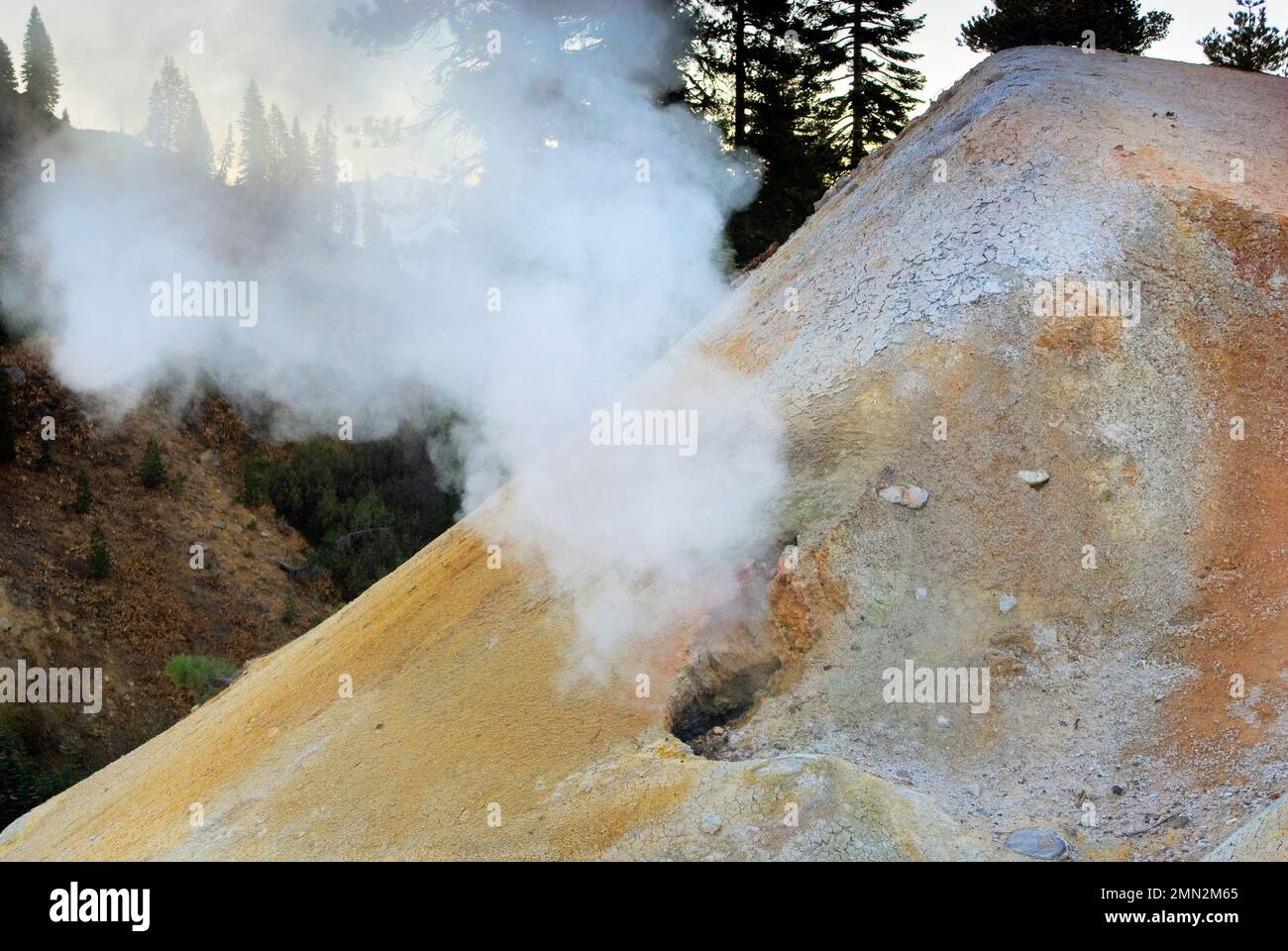 Sfiati a vapore fumaroles nell'area Sulphur Works del Lassen Volcanic National Park, California, USA Foto Stock