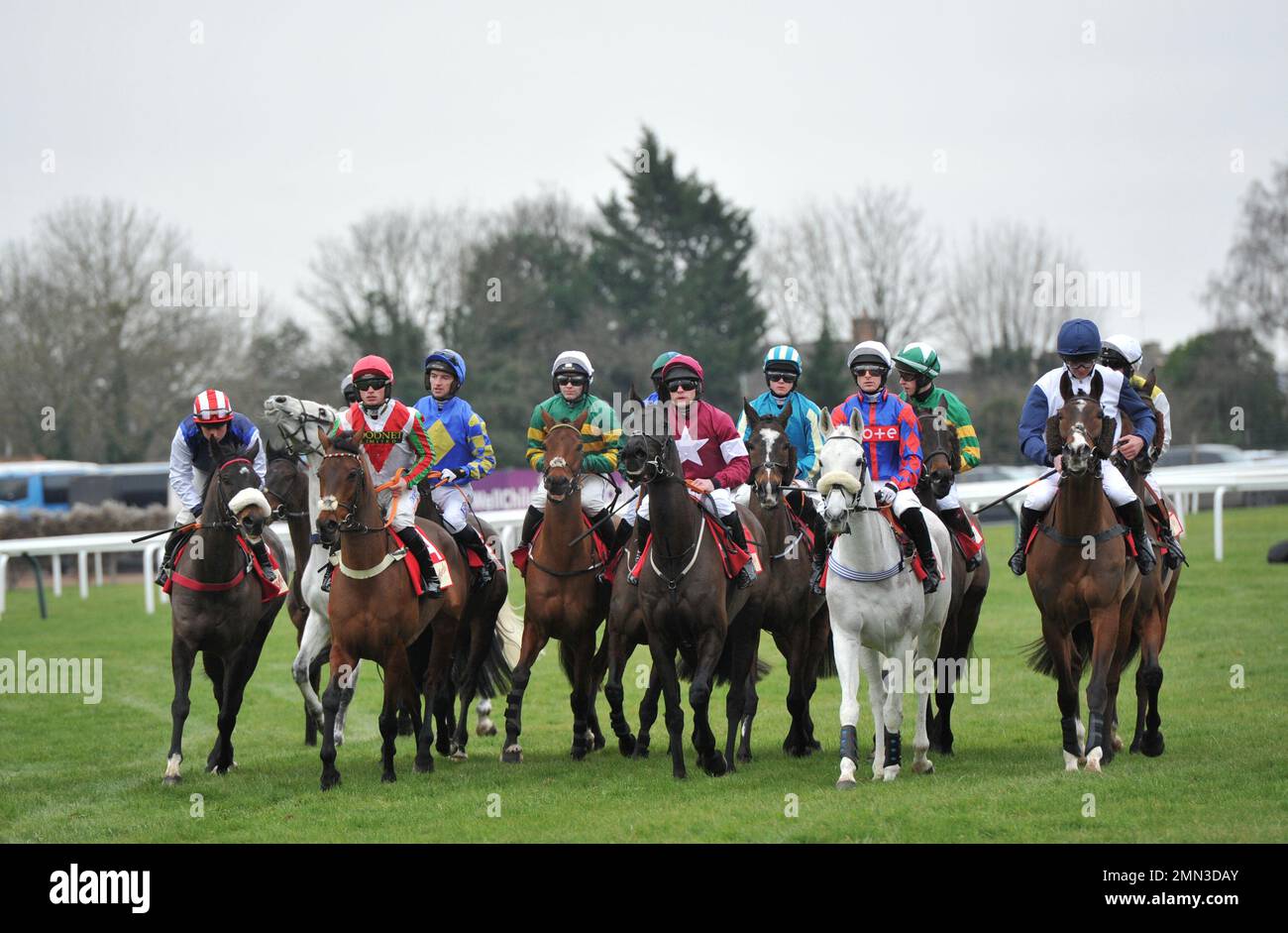 Gara tre. La Glenfarclas Cross Country Chase. I cavalli si radunano all'ippodromo Start di Cheltenham, Prestbury Park sulle prove D Foto Stock