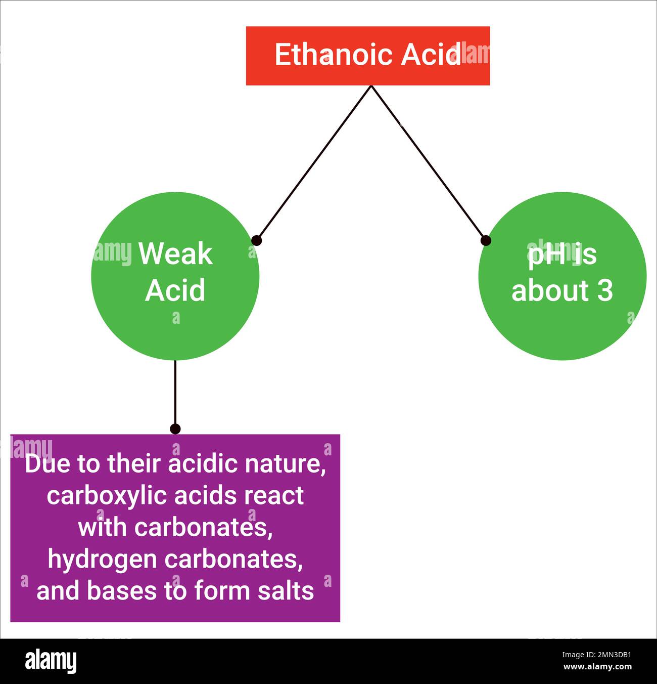 Cartine Tornasole 80 Pezzi - Test PH Acqua, Scala 1-14, Portatile