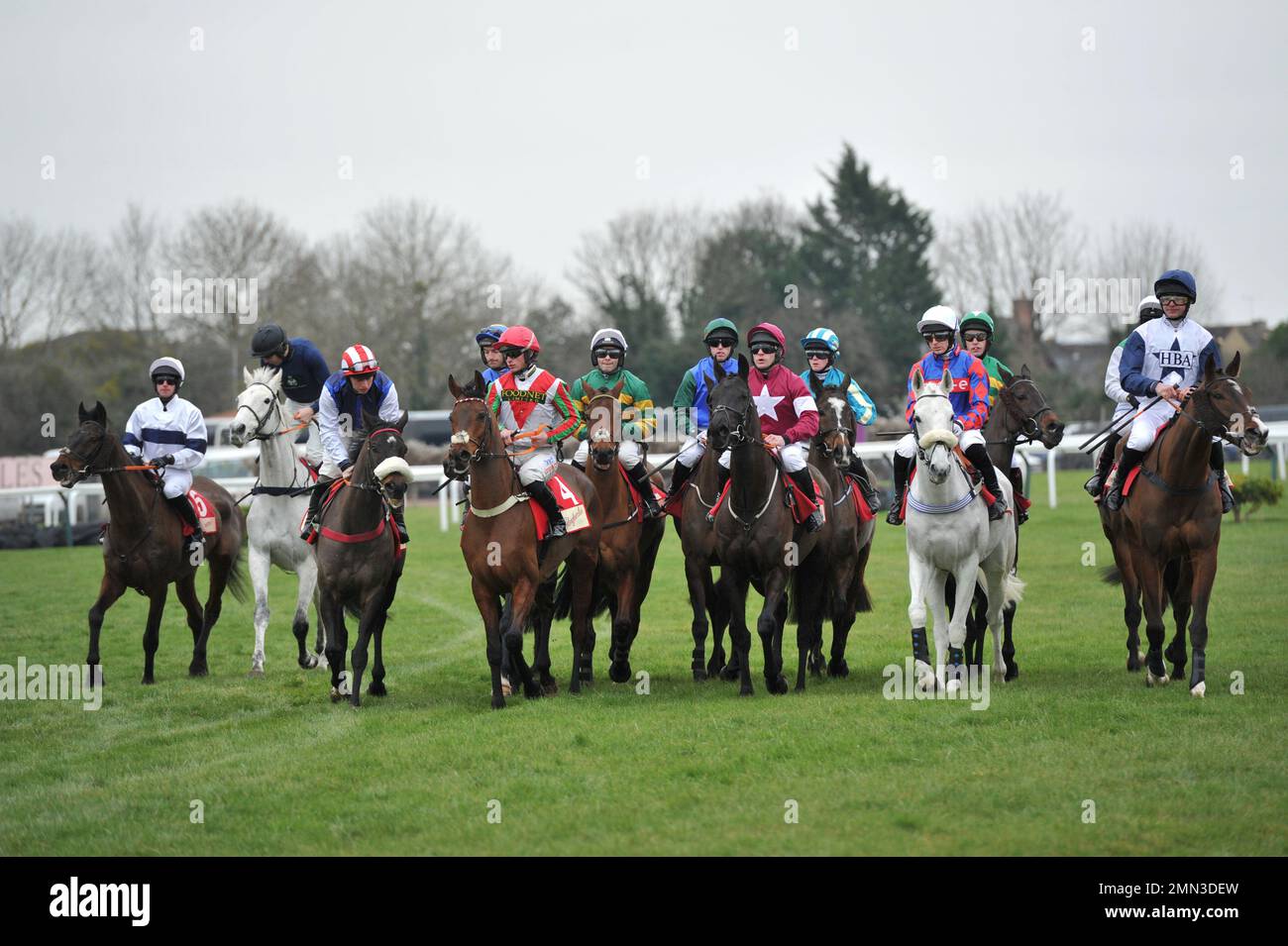 Gara tre. La Glenfarclas Cross Country Chase. I cavalli si radunano all'ippodromo Start di Cheltenham, Prestbury Park sulle prove D Foto Stock