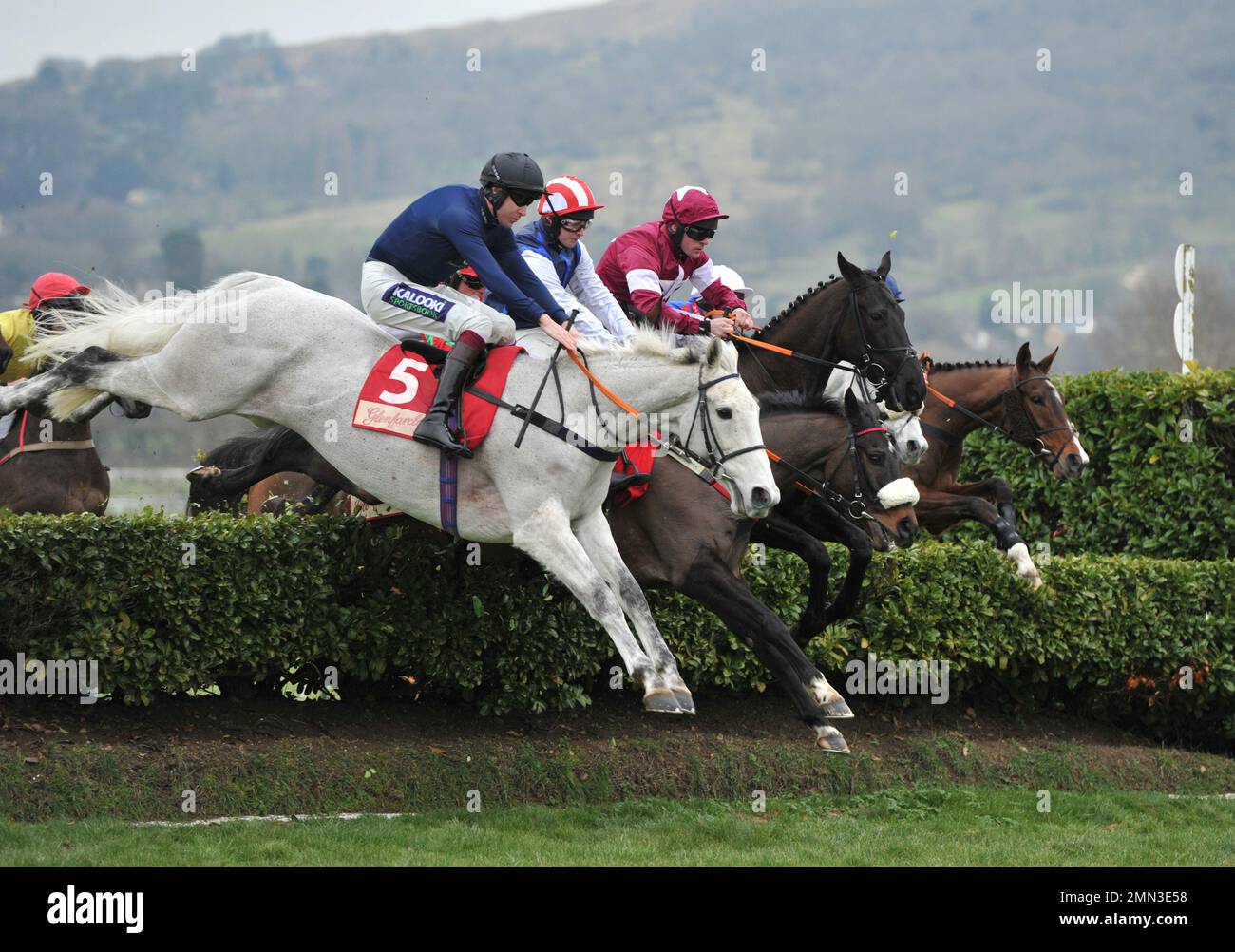 Gara tre. La Glenfarclas Cross Country Chase. L2R Snow Leopardess guidato da Aidan Coleman (cavallo bianco), Back on the Lash guidato da Sean Bowen (p Foto Stock