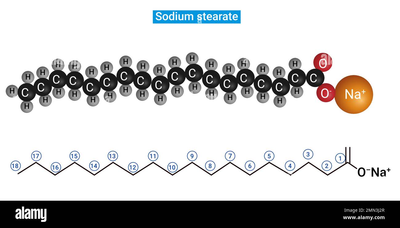 Struttura dello stearato di sodio : sale dell'acido stearico (C17H35COOH) (sapone) Illustrazione Vettoriale