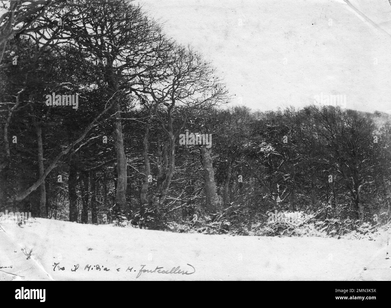 Monte Fontecellese nel 1888 Foto Stock