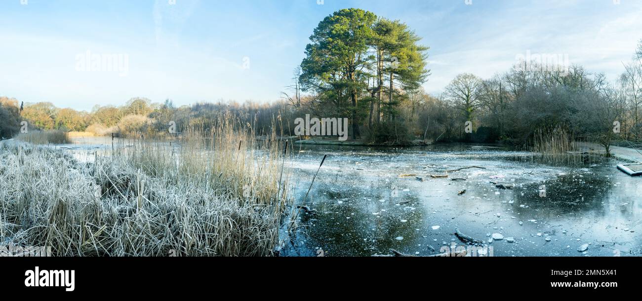 Il lago ornamentale congelato a Southampton Common in inverno Foto Stock