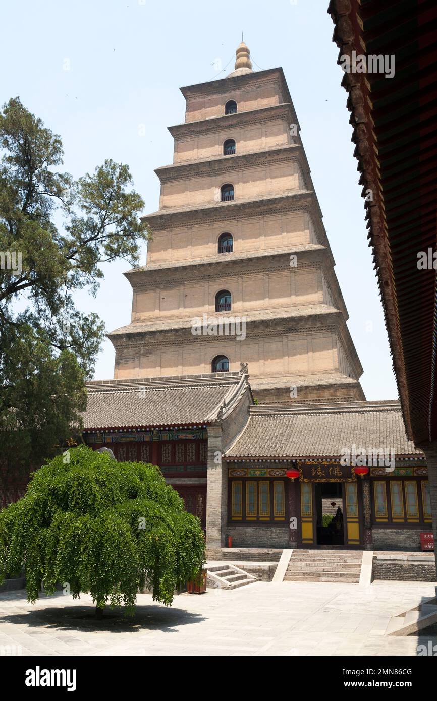 Vista della Pagoda da Yan / da Tan / Popular; 'Giant Wild Goose' nei terreni del Tempio di Daci'en, un tempio buddista nel quartiere di Yanta, Xian, Cina. (125) Foto Stock