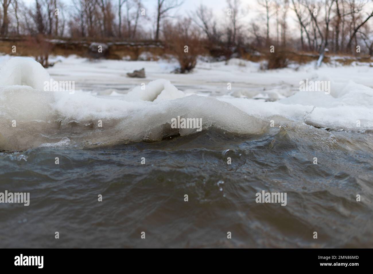 Il primo ghiaccio con neve sulla riva del fiume sorge in onde dal vento e correnti d'acqua accanto alla foresta. Foto Stock