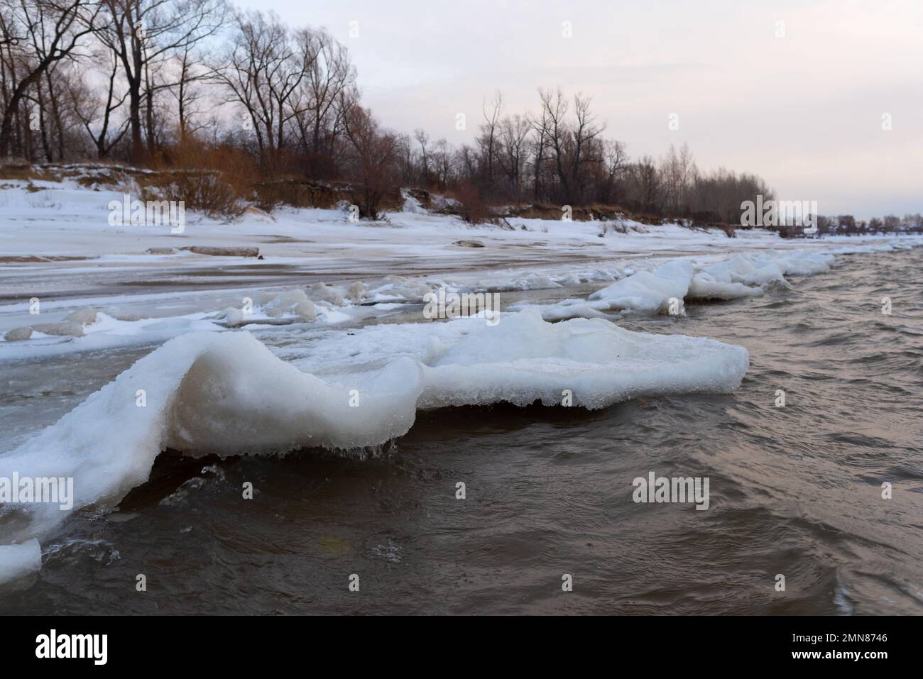 Il ghiaccio e la neve sulla riva del fiume si innalza in onde dal vento e dalle correnti d'acqua accanto agli alberi. Foto Stock