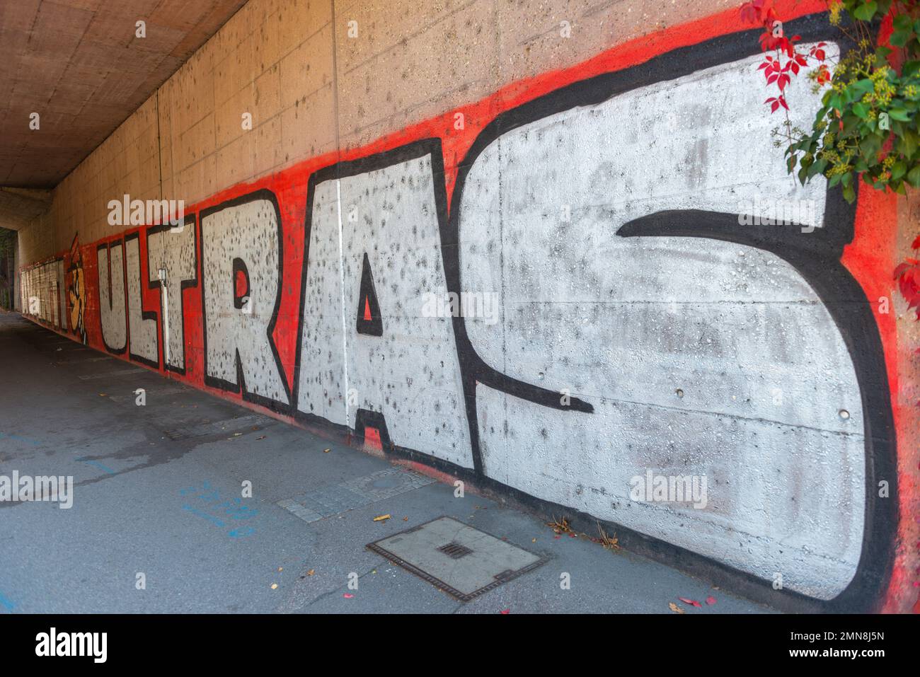 VFB Stattgart Ultras graffiti in un tunnel a Untertürkheim, Benzviertel, Stoccarda, Germania meridionale, Europa centrale Foto Stock