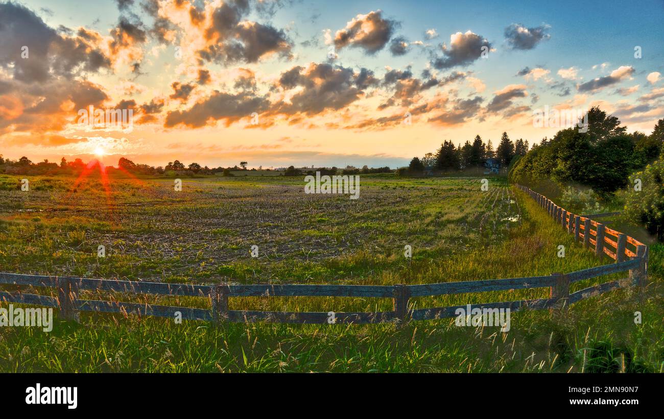 Campo agricolo con tramonto Foto Stock