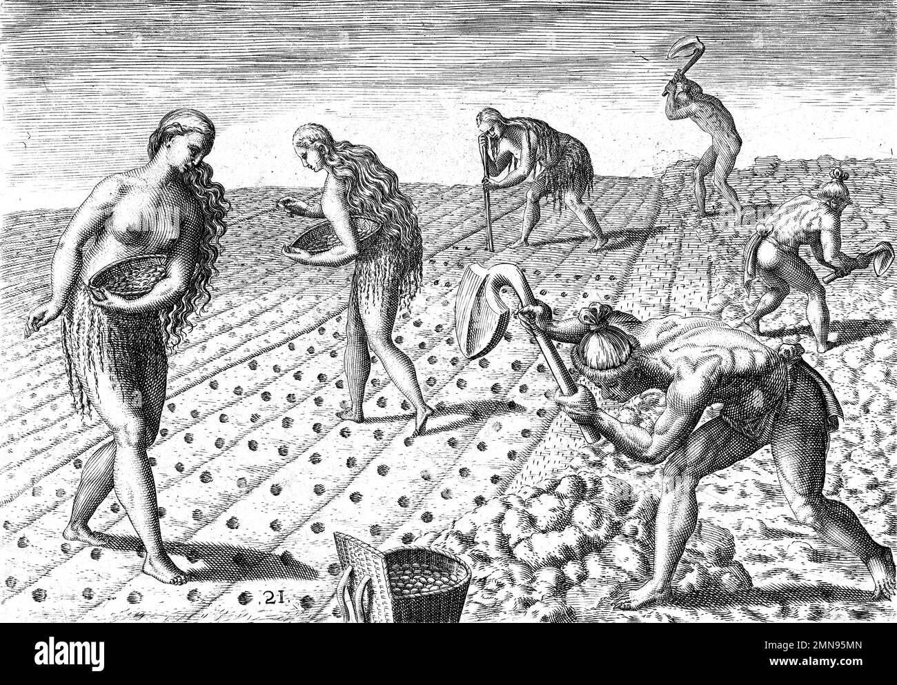 Theodor de Bry. Incisione di campi di semina e aratura nativi americani da parte dell'incisore olandese Theodor de Bry (Theodorus de Bry: 1528-1598), incisione / stampa letteraria 1591 Foto Stock