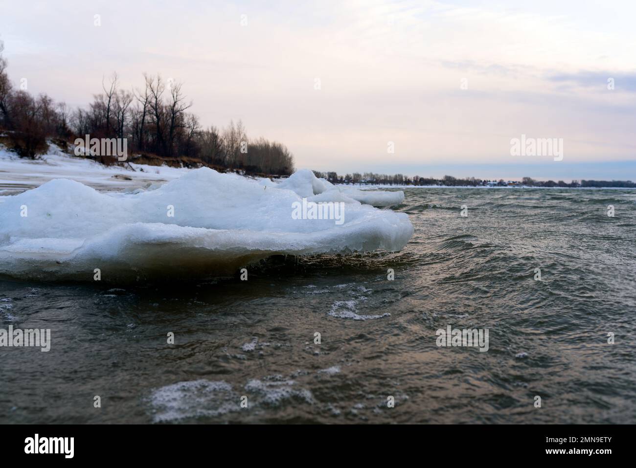 Il ghiaccio debole sorge in ondate da una forte corrente e vento d'acqua vicino alla riva della foresta. Foto Stock