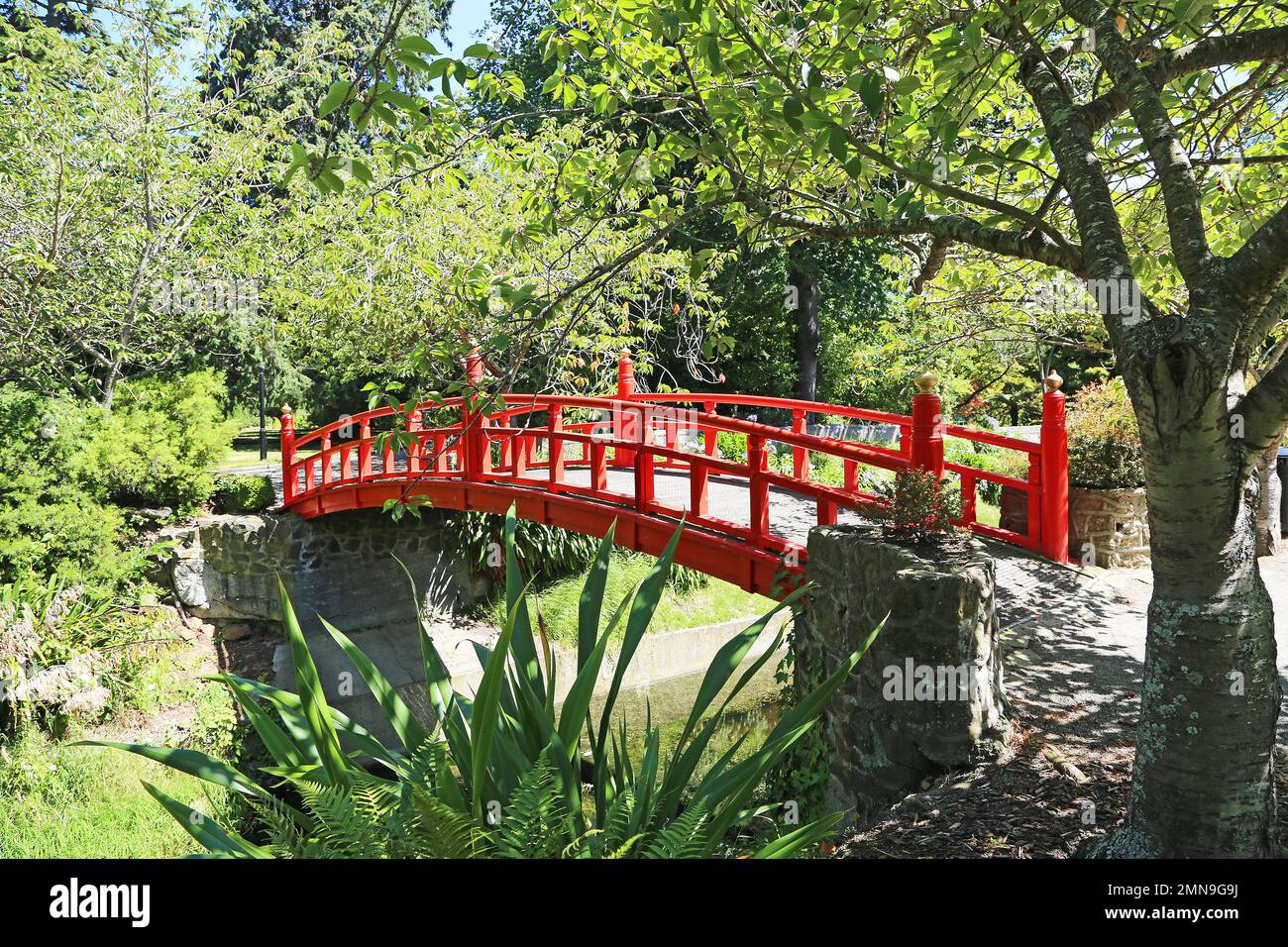 Ponte rosso giapponese e l'albero - Oamaru - Nuova Zelanda Foto Stock