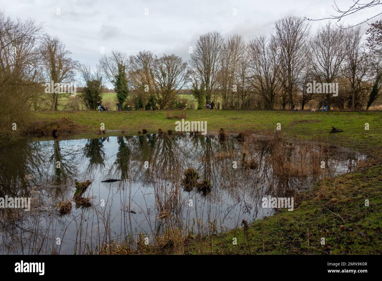 Gallows Hill Nature Reserve presso lo stagno in inverno con gruppi di persone che chiacchierano con cani e bambini a piedi, Otley nel West Yorkshire, Englan Foto Stock