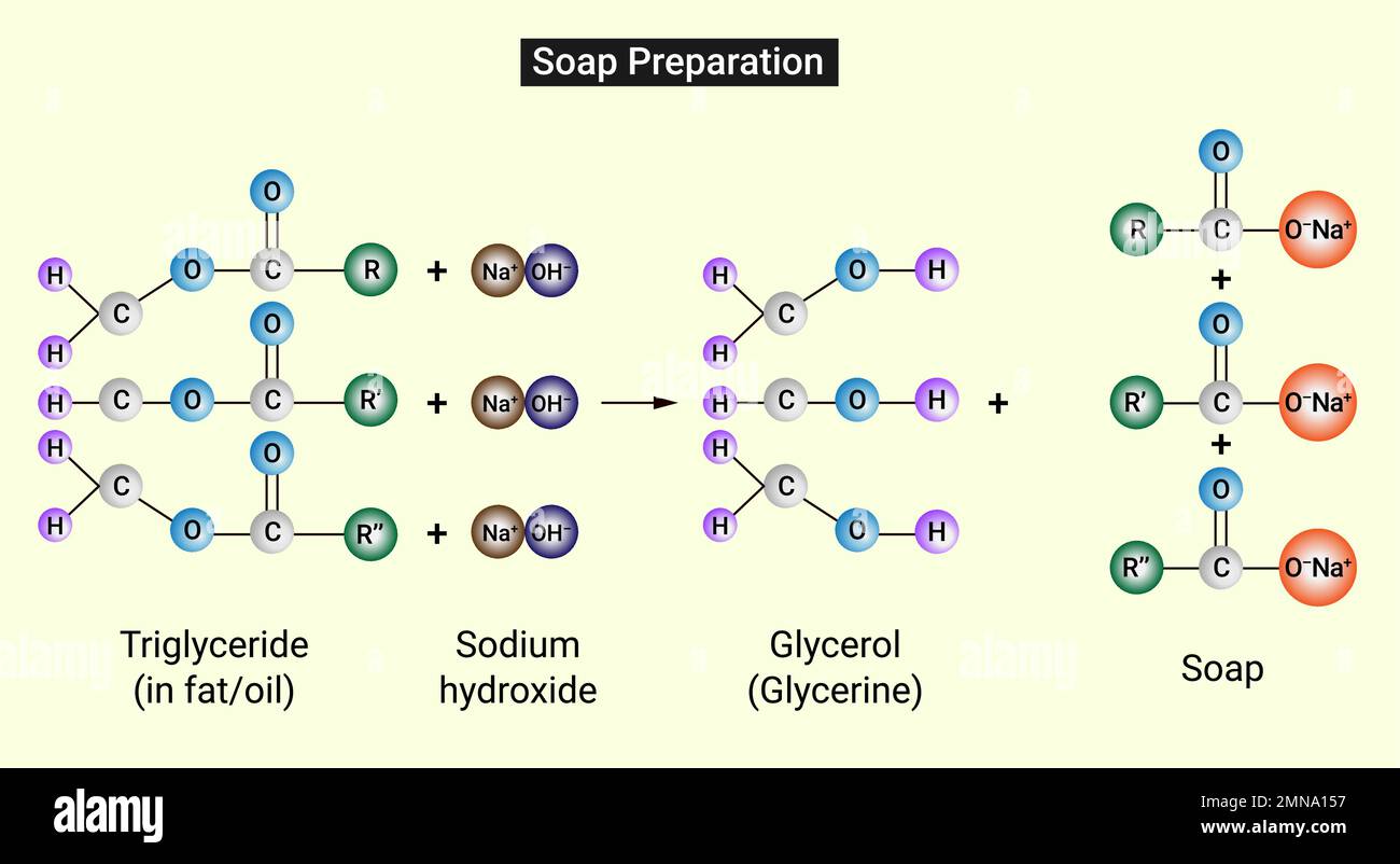 Preparazione del sapone: Rappresentazione atomica della reazione di  saponificazione Immagine e Vettoriale - Alamy