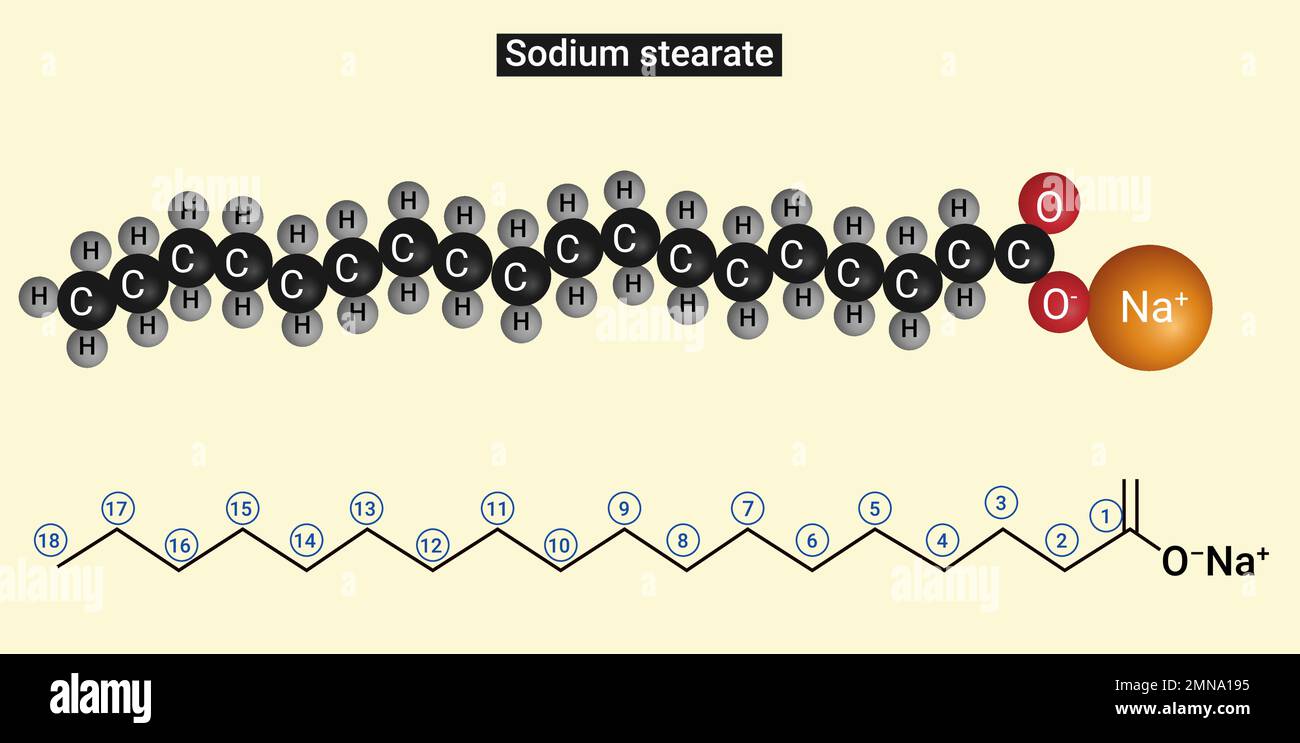 Struttura dello stearato di sodio : sale dell'acido stearico (C17H35COOH) (sapone) Illustrazione Vettoriale