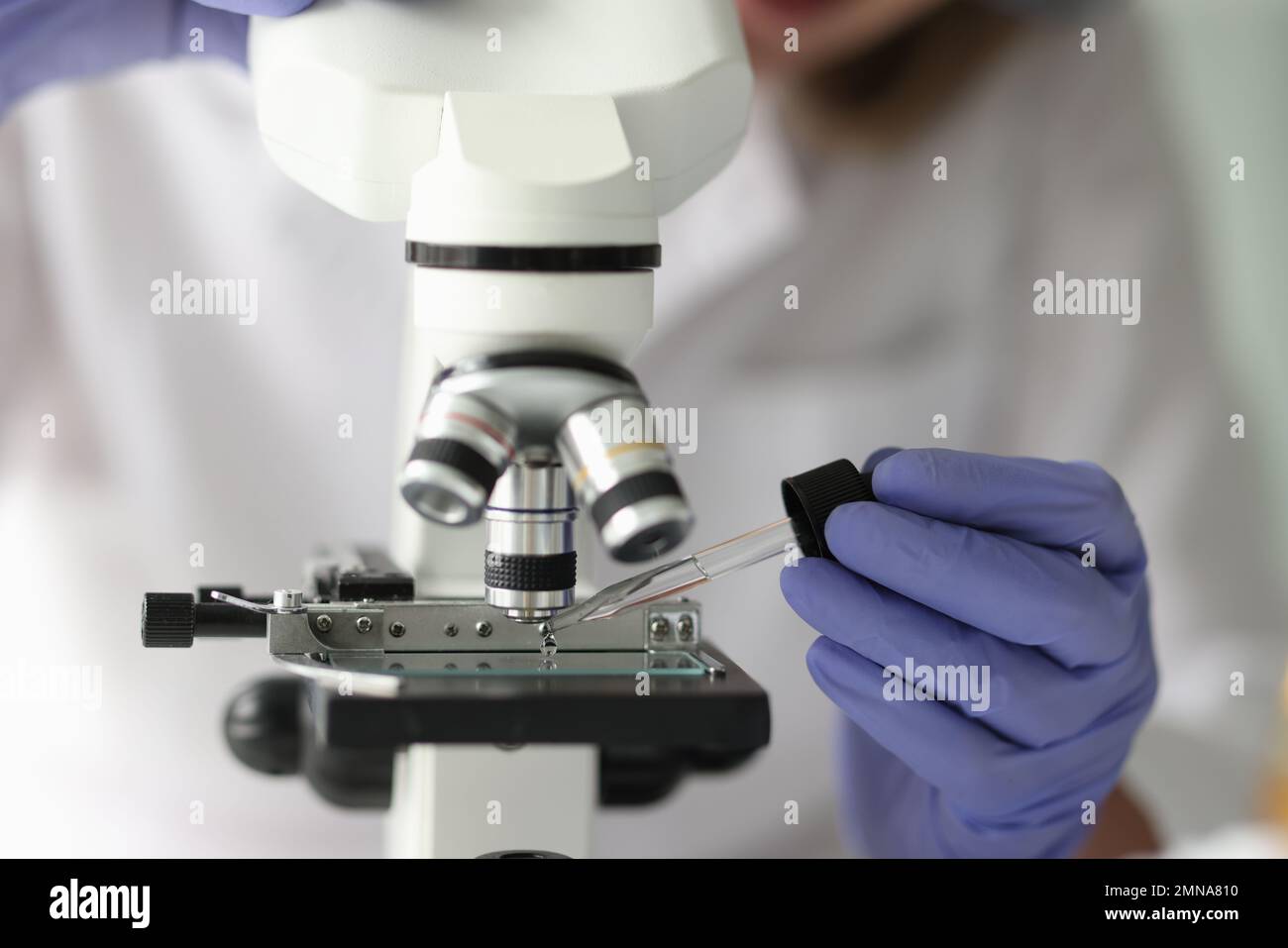Scienziato che lavora con pipette e microscopio in laboratorio. Foto Stock