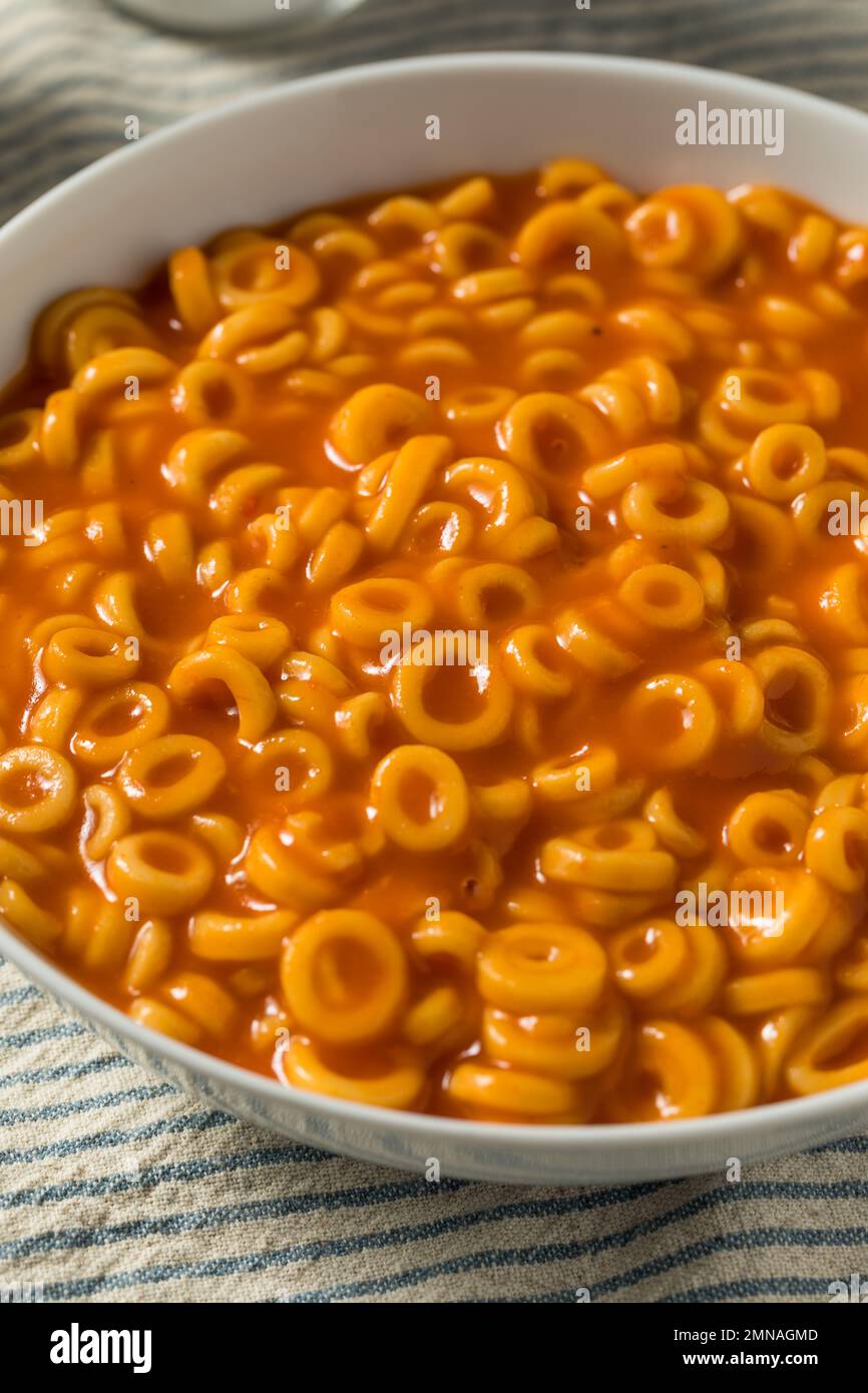 Anelli di spaghetti di Pasta in scatola fatti in casa in salsa di pomodoro Foto Stock