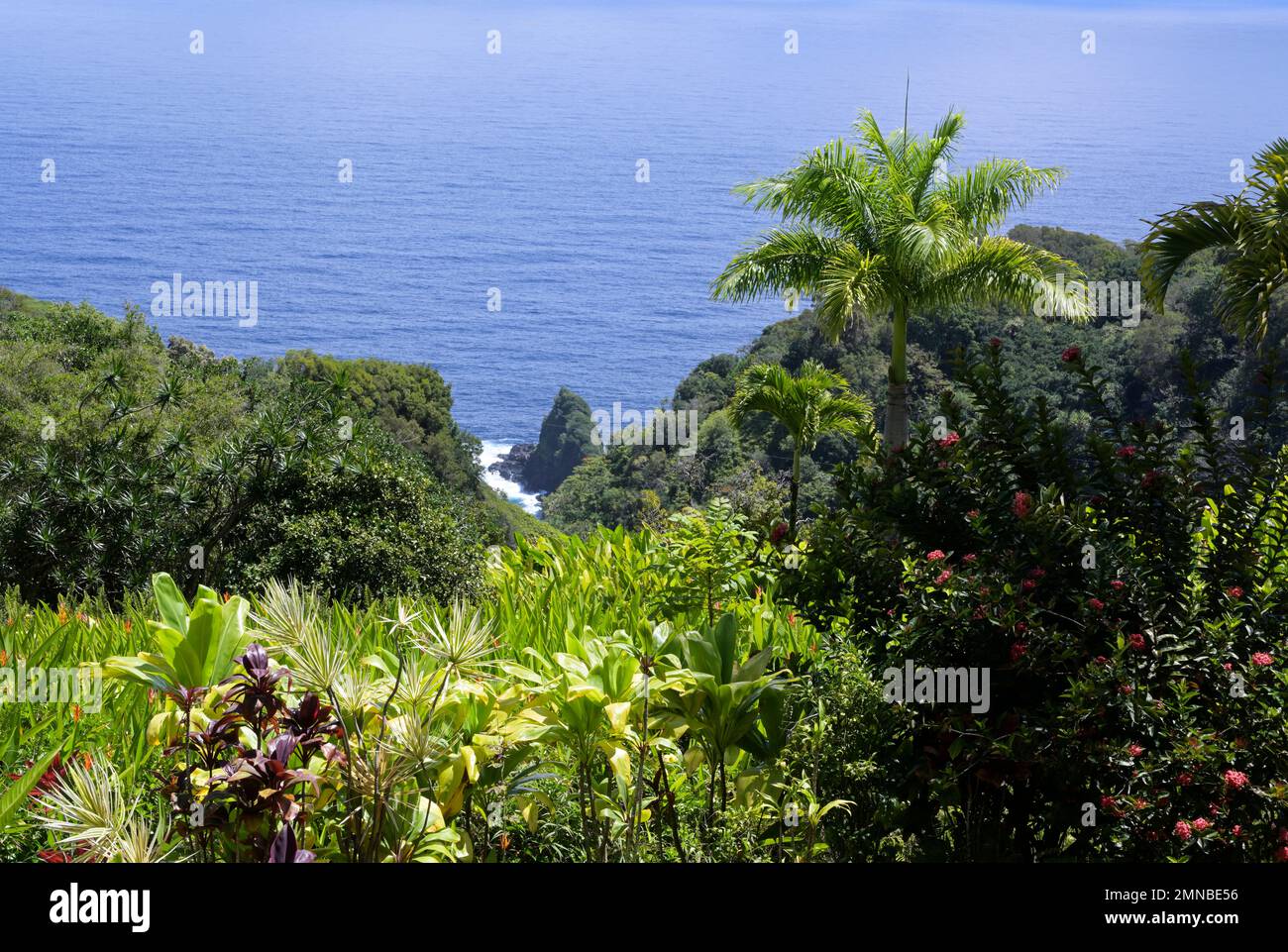 Keopuka Rock, Maui, luogo di apertura della scena cinematografica nel Jurassic Park Foto Stock