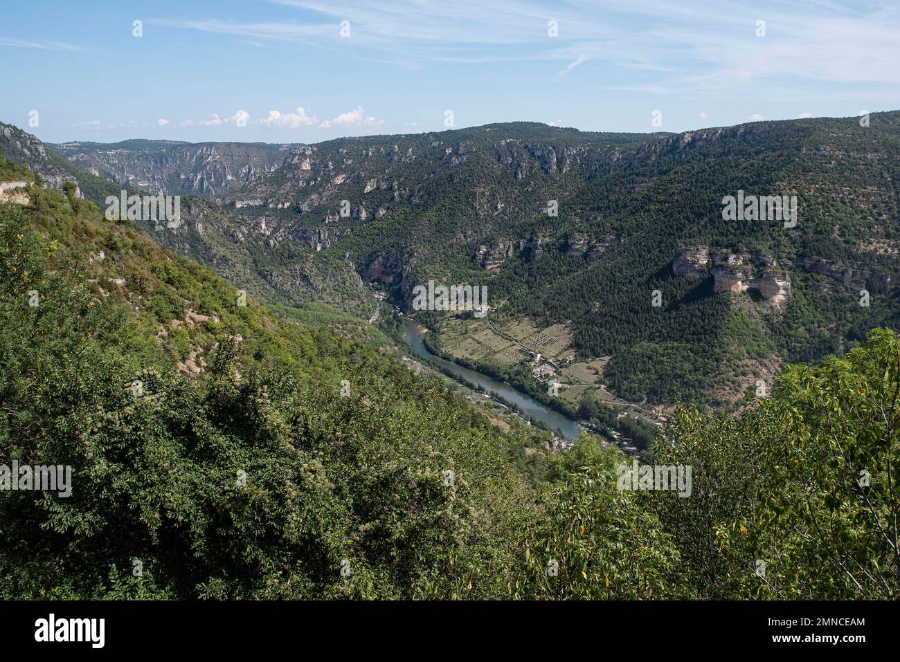Paesaggio delle gole del Tarn in Francia Foto Stock