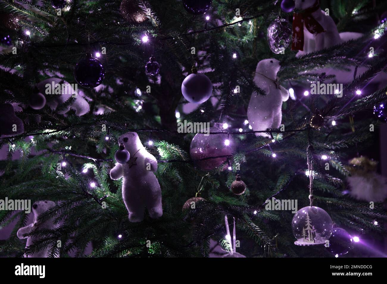 Primo piano dell'albero di Natale di Capodanno decorato con luci ghirlanda, orsacchiotti bianchi, giocattoli, baubles di diverse dimensioni. Foto Stock