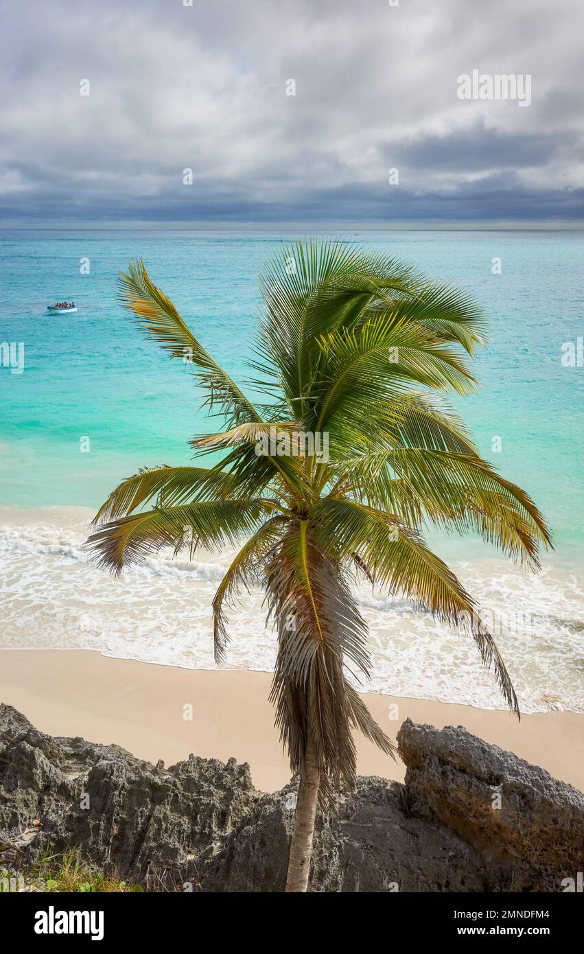 Palme sulla spiaggia tropicale di Tulum, Penisola dello Yucatan, Messico. Foto Stock