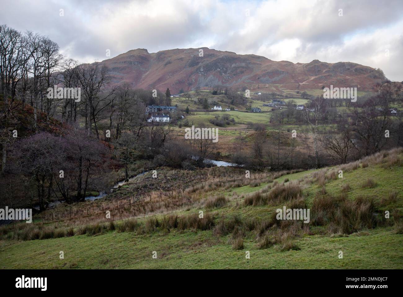 Foto di Tim Cuff. 9 dicembre 2022 - 10 gennaio 2023. Tilberthwaite, Lake District, Cumbria, Inghilterra. Foto Stock