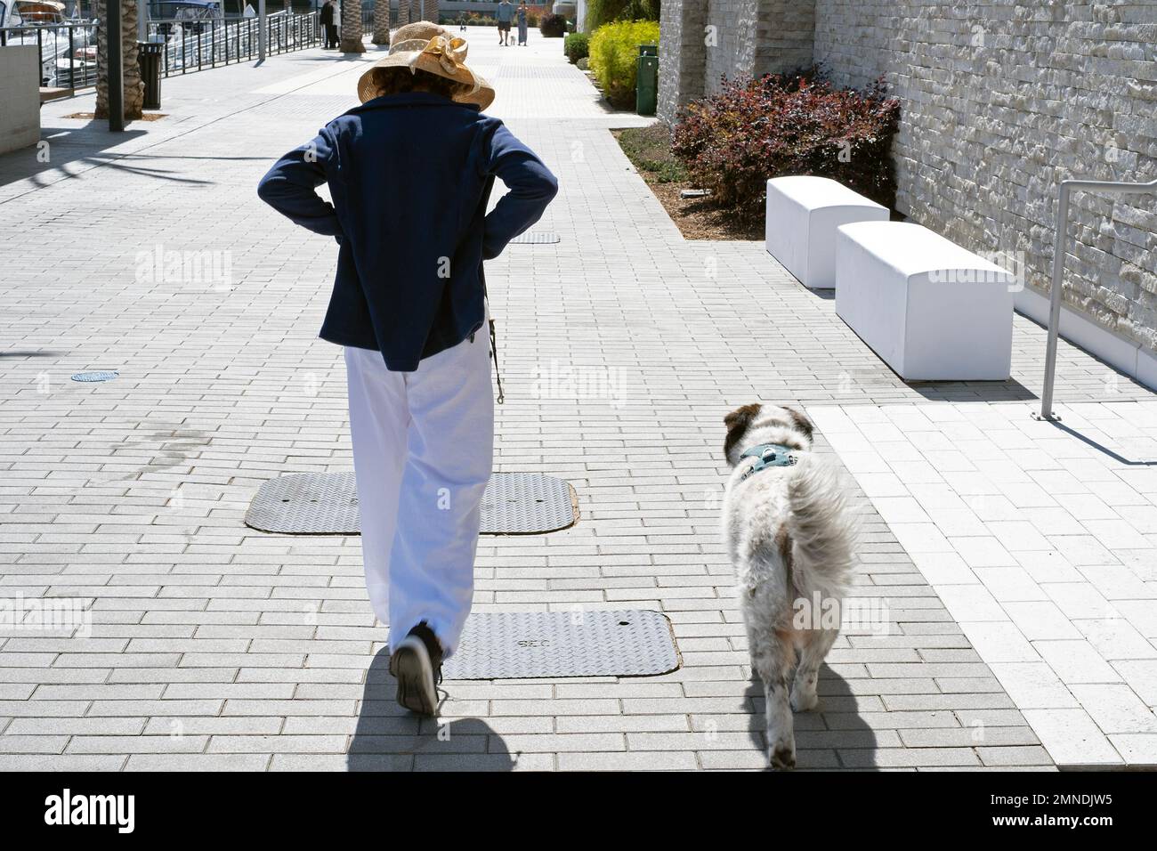 Una donna ed il suo cane vanno per una passeggiata. Foto Stock