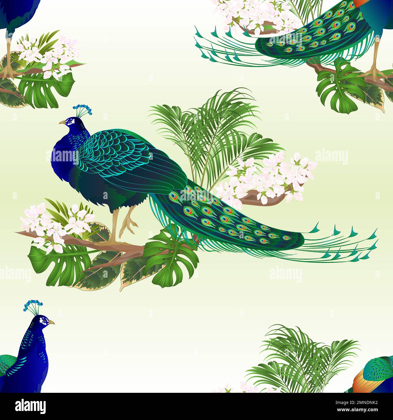 Texture senza cuciture due picchi bellezza uccelli esotici e fiori tropicali acquerello naturalvintage vettore illustrazione modificabile disegnato a mano Illustrazione Vettoriale