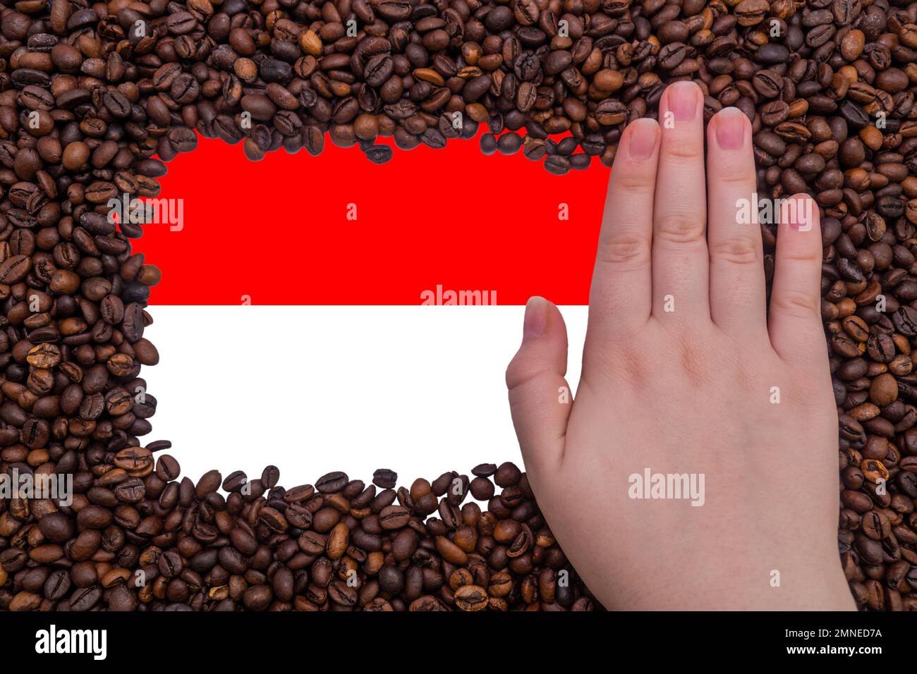 Mano femmina su una cornice rettangolare di chicchi di caffè tostati sullo sfondo della bandiera indonesiana. Il più grande esportatore di caffè al mondo Foto Stock