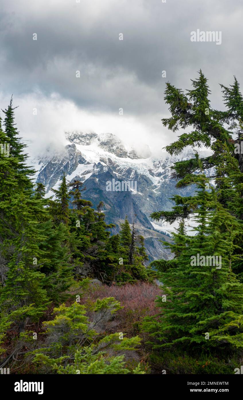 Vista dalla Table Mountain del Monte Shuksan con neve e ghiacciaio, Mt. Baker-Snoqualmie National Forest, Washington, Stati Uniti Foto Stock