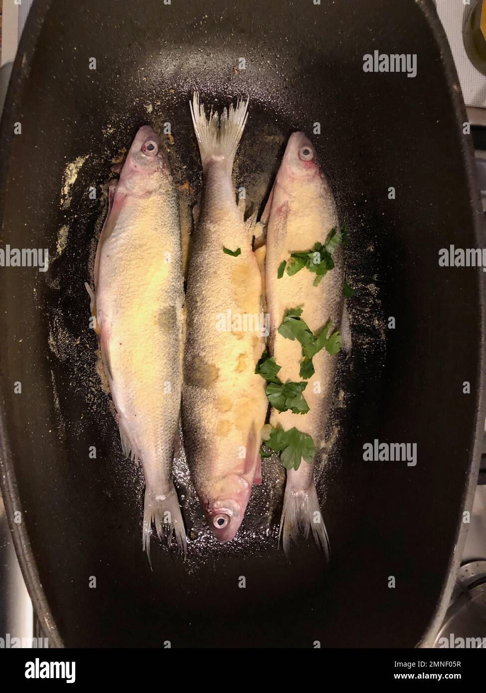 Tre pesci freschi in padella, con pangrattato, preparando la trota per cena Foto Stock