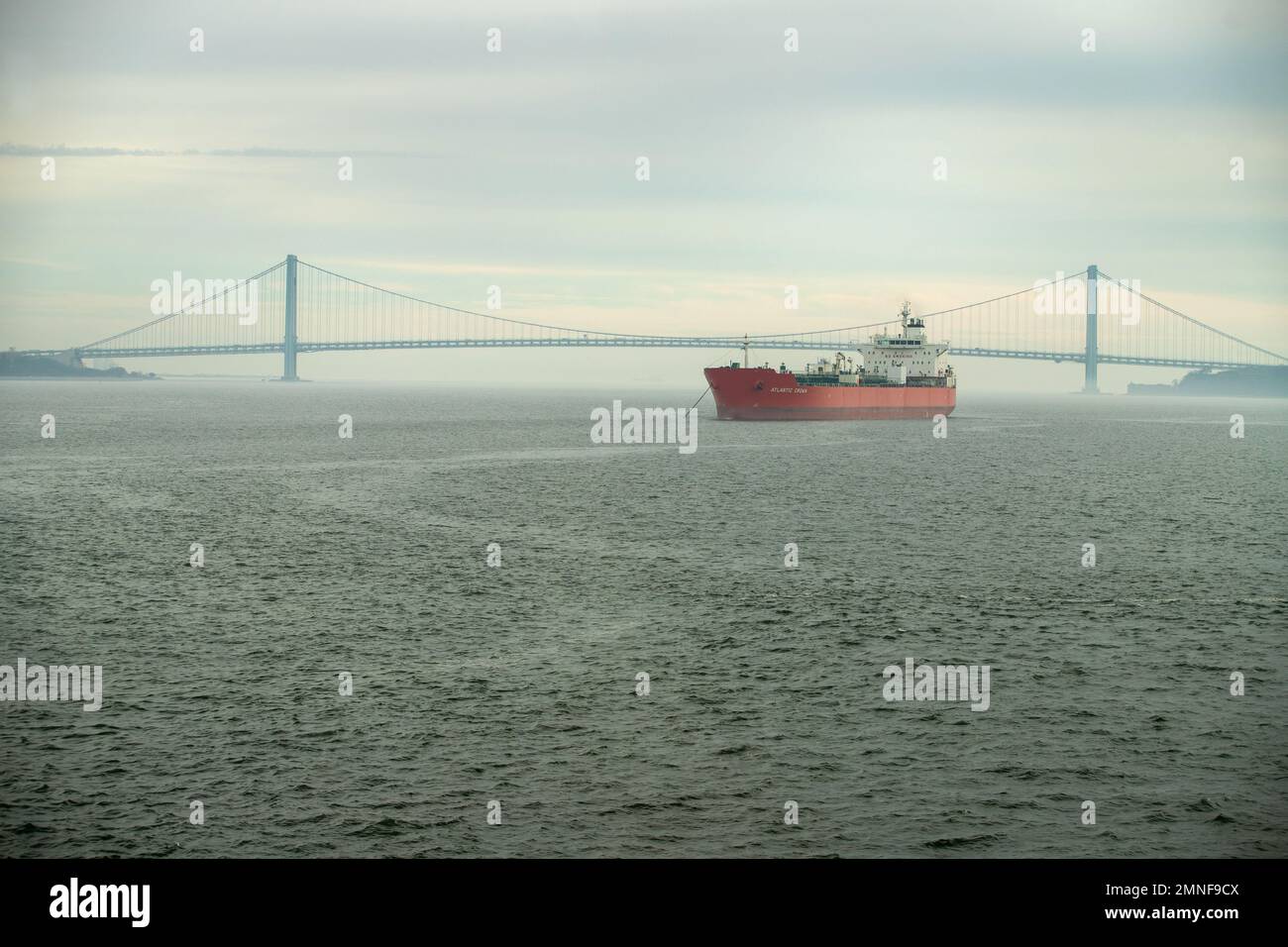 Ponte Verrazzano-Narrows, New York, Stati Uniti Foto Stock