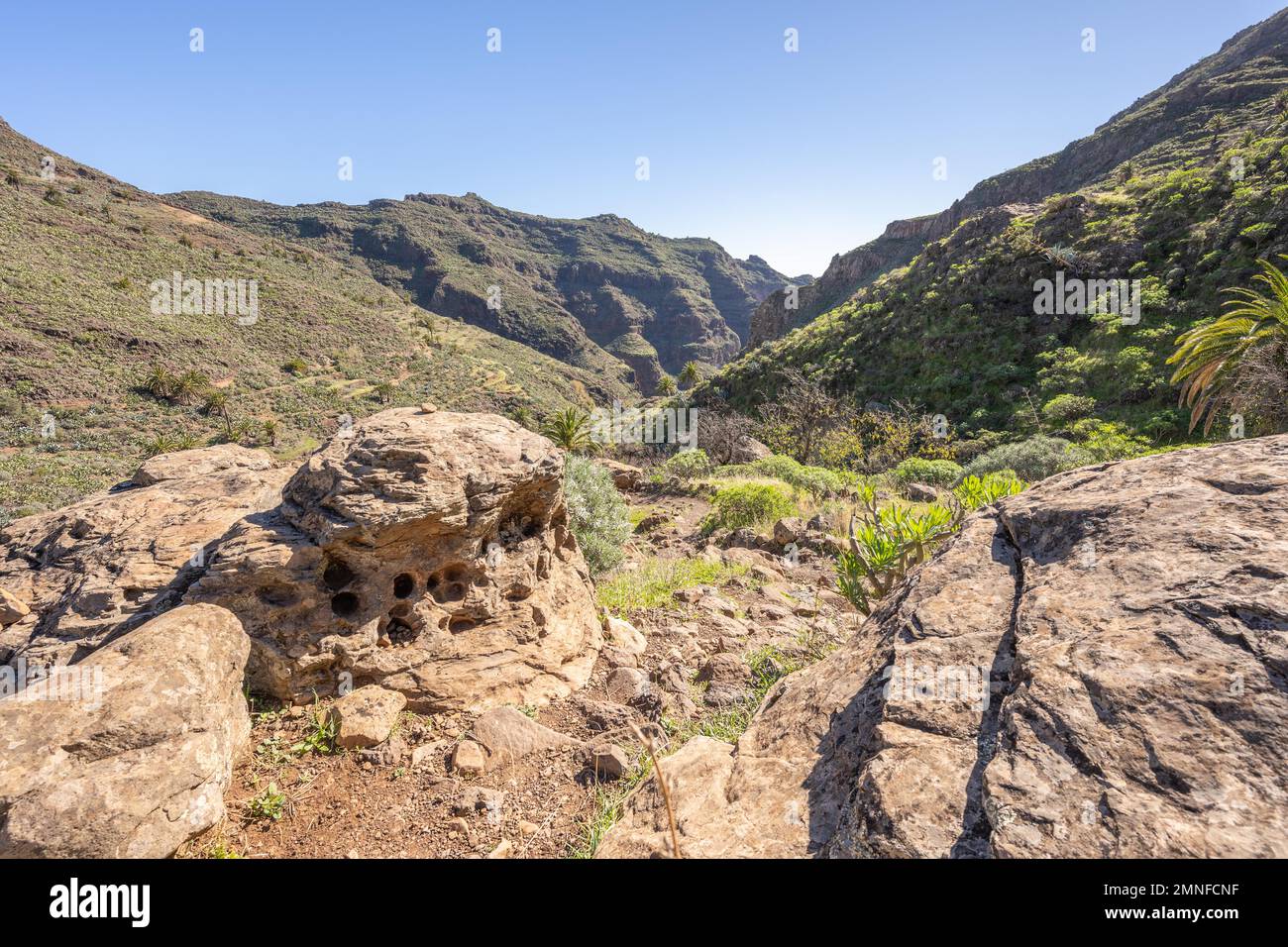 Sentiero escursionistico nella gola di Barranco de Guarimiar, la Gomera, Spagna Foto Stock