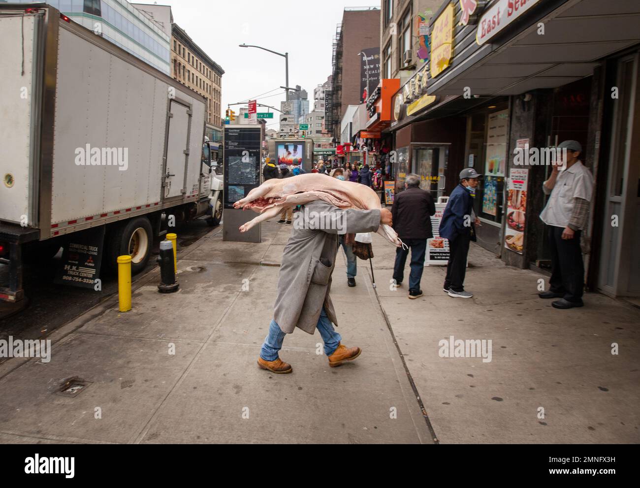 Consegna di carcasse di suino in un ristorante a Chinatown, New York, USA Foto Stock