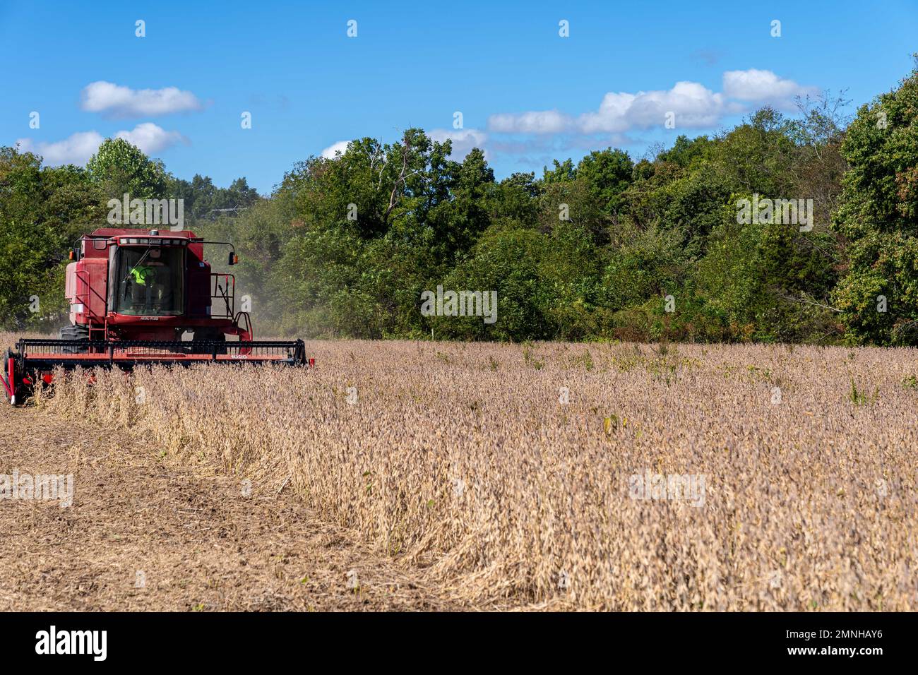 Mike Scully raccoglie la soia presso Scully Family Farms di Spencer, Indiana, 29 settembre 2022. (Foto NRC di Brandon o’Connor) Foto Stock