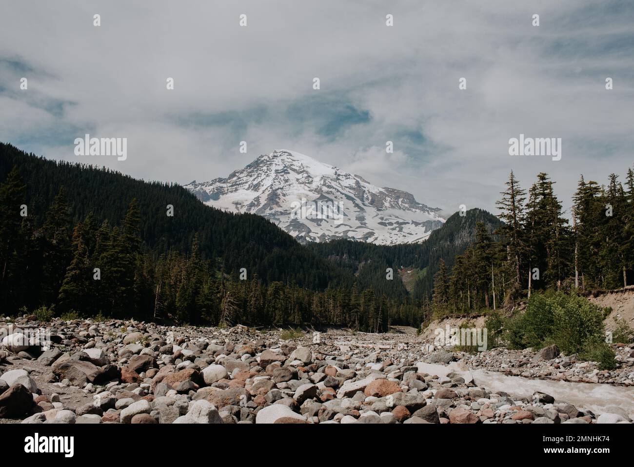 Alcune delle vette del Monte Rainier dal Wonderland Trail Foto Stock