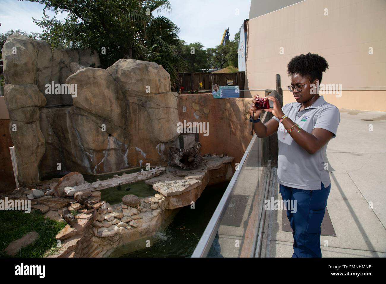 Un lavoratore USDA utilizza una fotocamera digitale per fotografare le lontre nel loro habitat, durante le ispezioni di cura degli animali al Seaworld di San Antonio, Texas, il 27 luglio 2022 Foto Stock