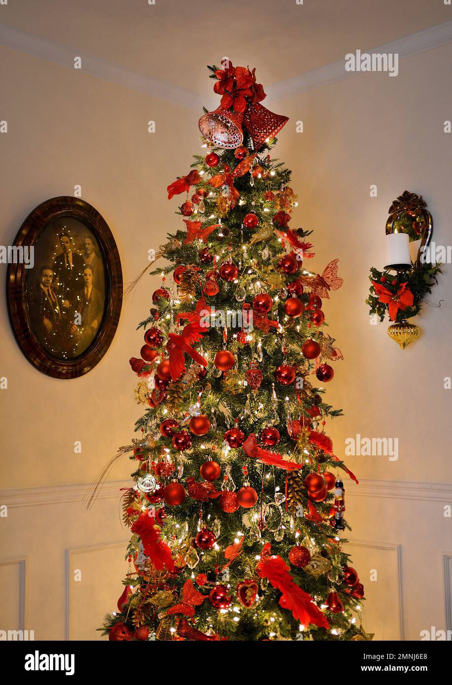 Albero di Natale decorato in angolo della camera Foto Stock