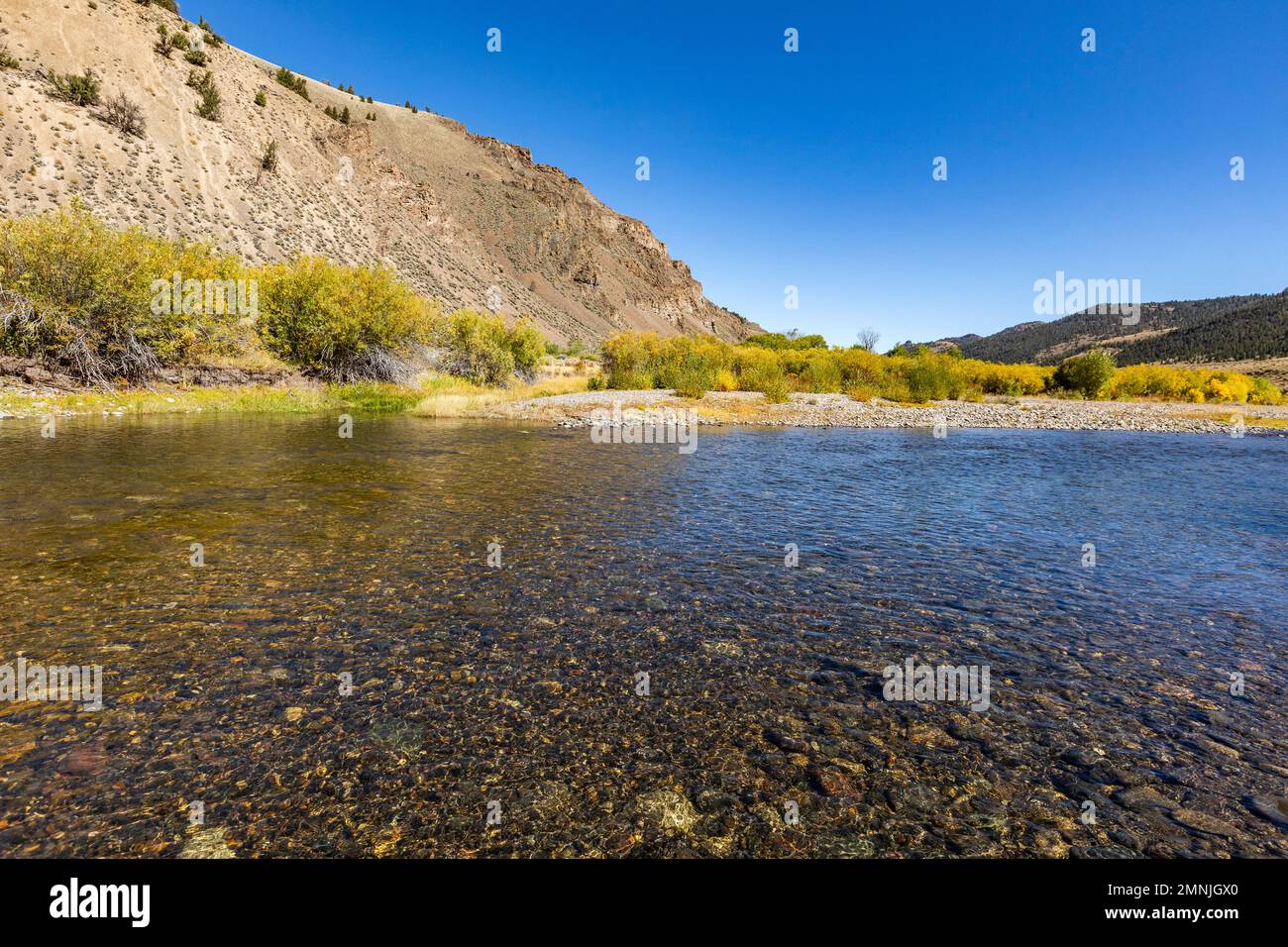 Stati Uniti, Idaho, Sun Valley, fiume liscio e limpido nella valle Foto Stock